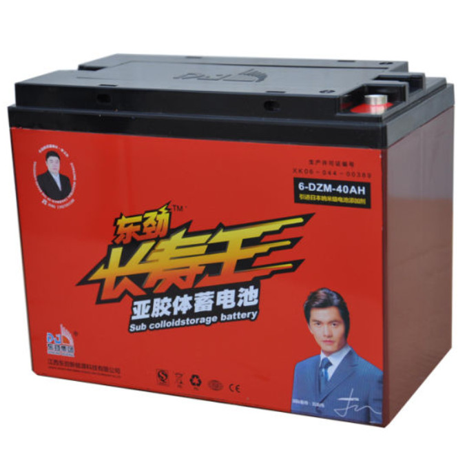 Van Rickshaw Battery